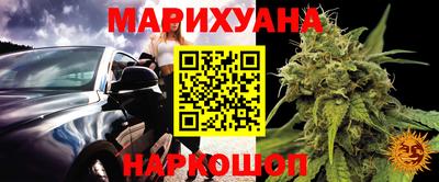 прущие грибы Малгобек