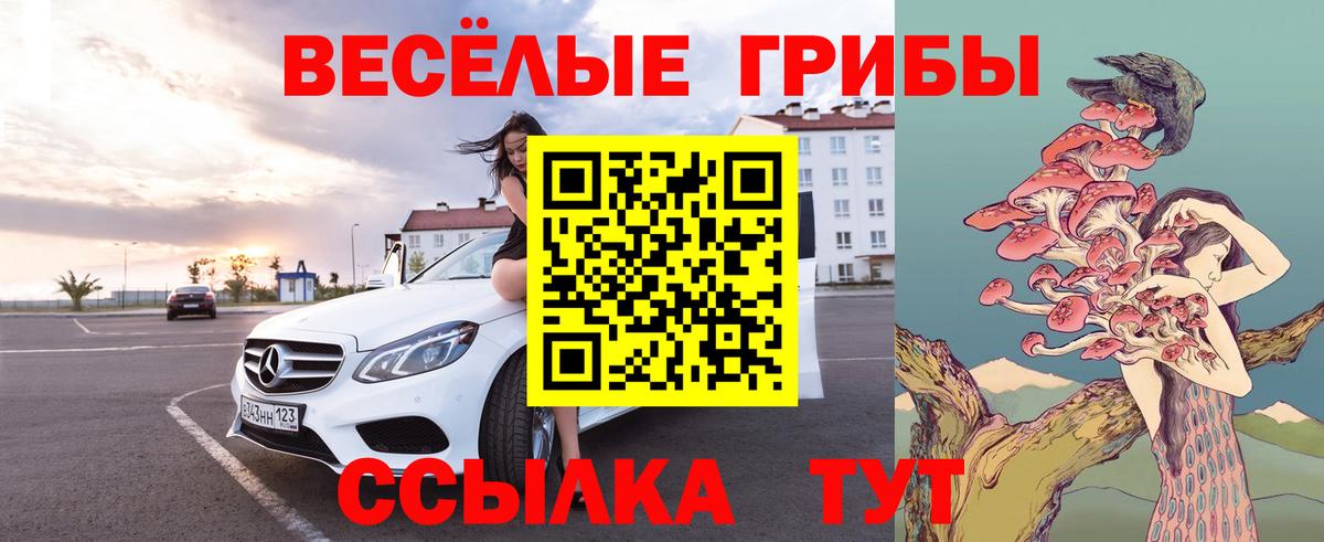Галлюциногенные грибы мицелий  Галлюциногенные грибы Psilocybine cubensis  Видное  Вход с VPN 